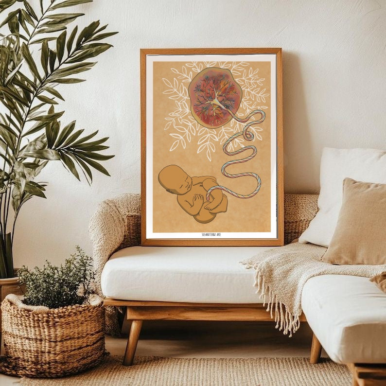 Ilustración de un bebé con su placenta